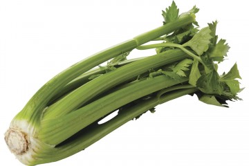 100004 bleekselderij 0