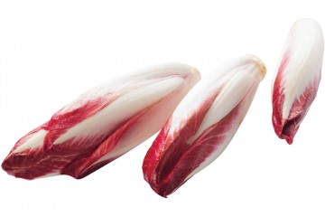 100040 rood witlof 0