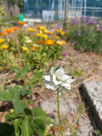 10005003813522726116252278068855626207330304n