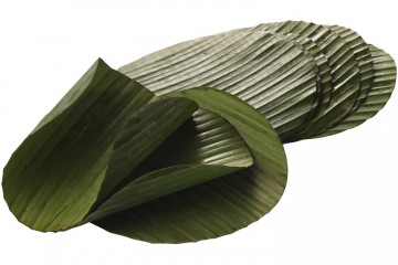 100306 bananenblad 0