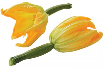 100315 courgette bloem