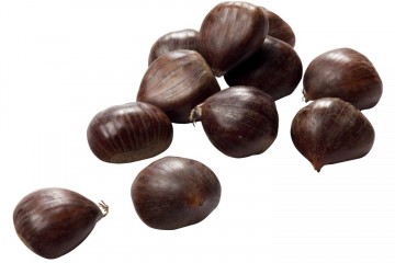 100316 kastanjesvers