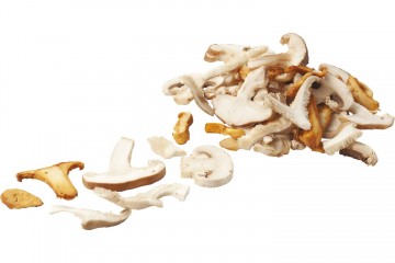 100419 bospaddenstoelen gesneden