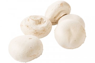 100434 champignons reuze los