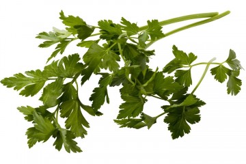 100853 bladpeterselie 0