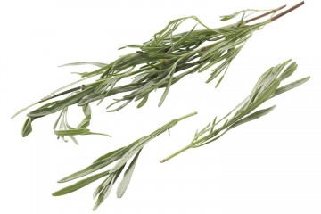 100867 lavendel bosje 0