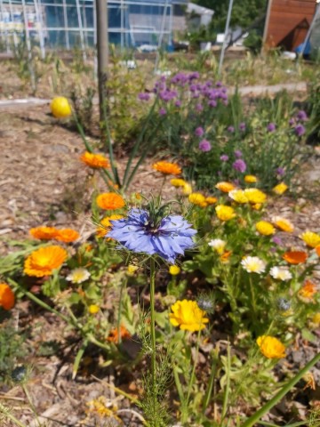 10103898725132977555855811682770673358864384n