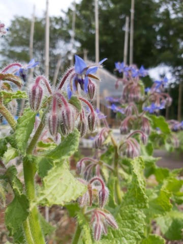 10396238726481893321221048774793908899360832o