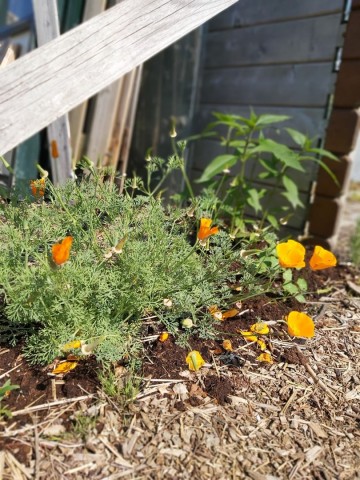 10398689126468123289264716267925693539216152o