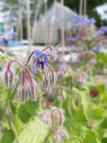 10403213826481892954554417866564870746040739o