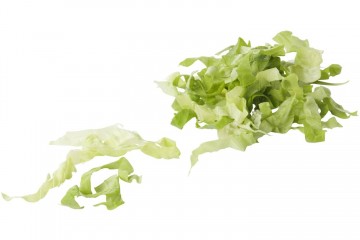 106000 andijvie 10mm