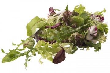 106255 slamix mesclun