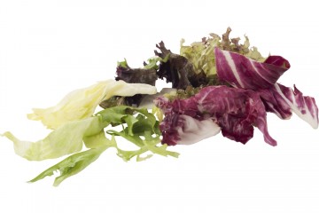 106258 horeca slamix 0