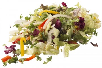 106262 frisee slamix