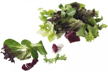 106263 slamix compleet