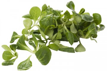 106269 veldsla gewassen 0