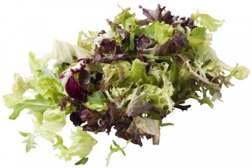 106276 slamix rucola