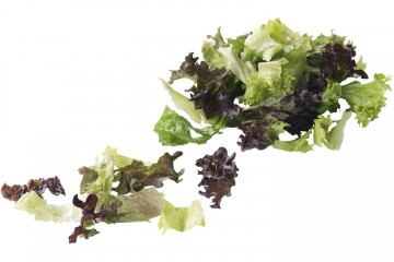 106278 romeinse slamix