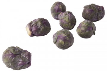 114034 spruitjes paars 0