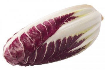 115092 treviso precoce