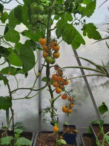 1177155382734432160122965920616239060831799n