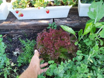 117899895346154789887945199991937318324222n