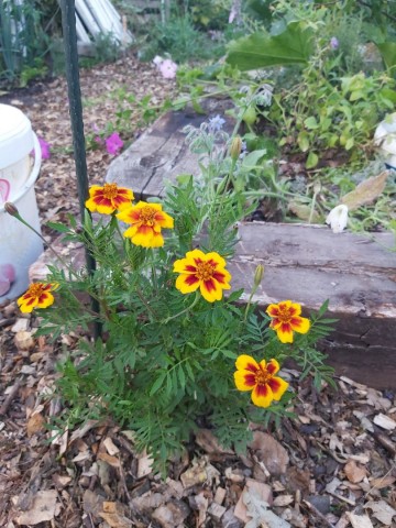 11799714814498602287385593764686057217465727n