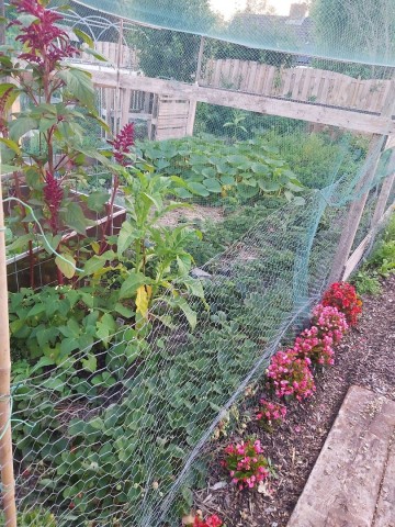 11821218727052607930816243696287649127981363o