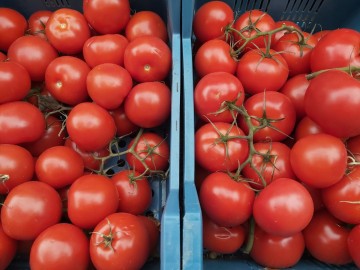 1183957549126207792479093891745785257327168n