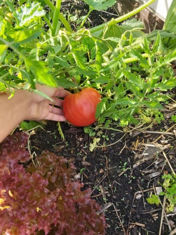 1186203041006401609809016927771657083588218n