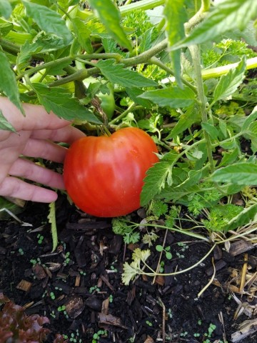 1186510346005353939661193940669913078155994n