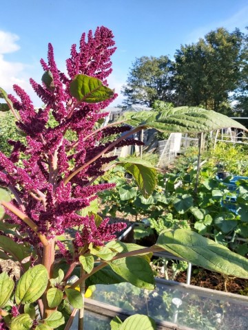 1186530547644802710037702392341685874863001n