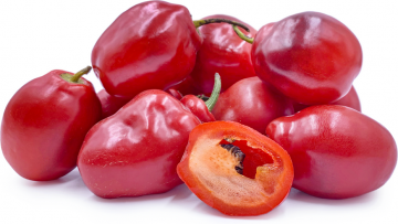 12452831638564001277239395167539115748413242n