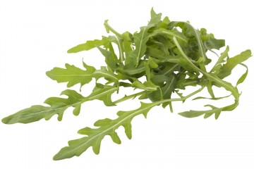152055 rucola gewassen 1