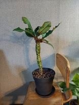 2625441013015227525418688779888504056333720n