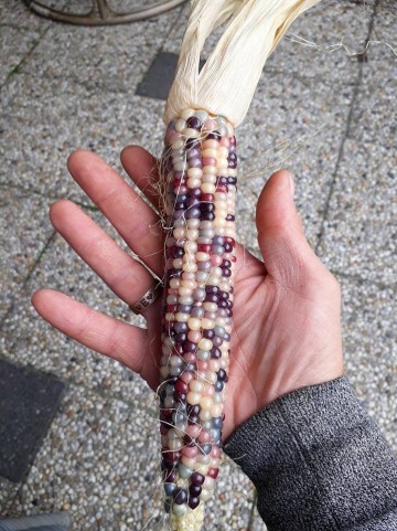 415124262077558975840767349975392934690816n