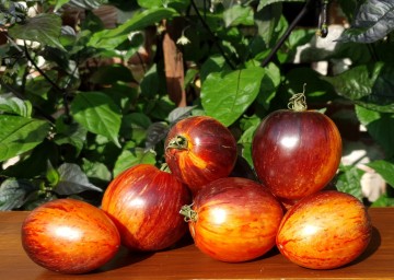 415a131dc770884d1e24ae206cd3dff6 0