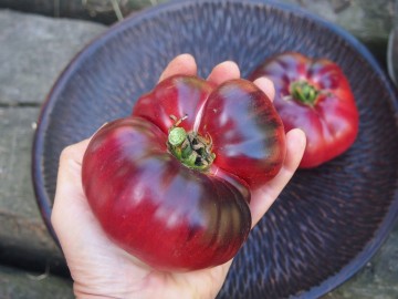 427d4f8d8a1804948b2b5224804a241b