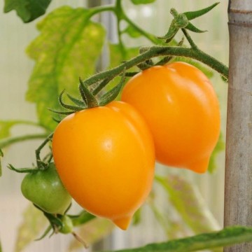 67bbfa211d2f30c4f47f835112418185