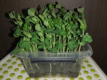 799686042997695042570537634951345333600256n 0