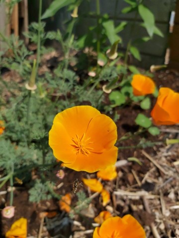 8333015526468123255931386101938893191036391o