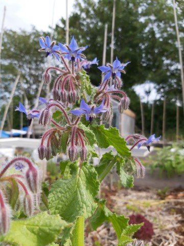 8334033226481893154554396741767510010089448o