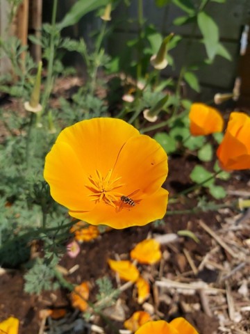 8362948826468123222598054522041726477369515o