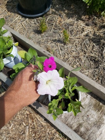 983425741630050310484576470631083092738048n