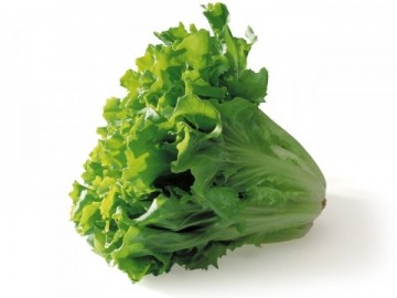 Andijvieheader  list 0