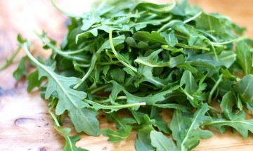 Arugula rocket roquette plantbase