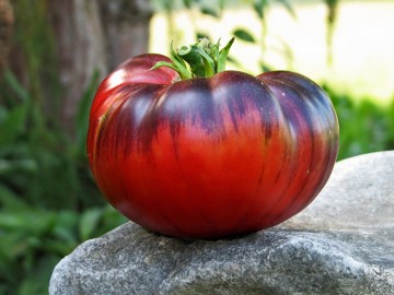 B32abcc7a99ffda04340419b3eb0ffea59a5d0mv2d20481536s2