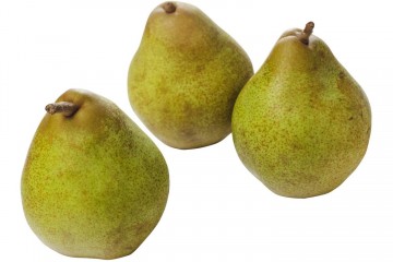 Conference handperen 0