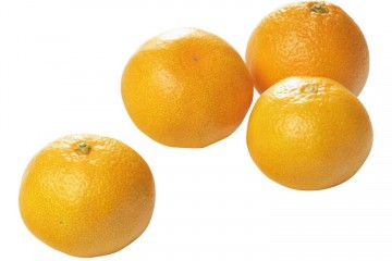 Mandarijn clemenrubi 0