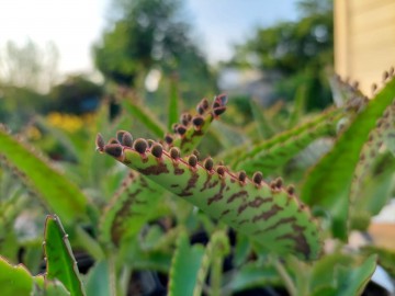 Received354341819355897